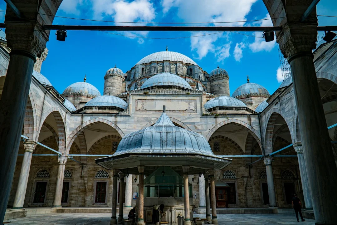 a large building with domed roofs