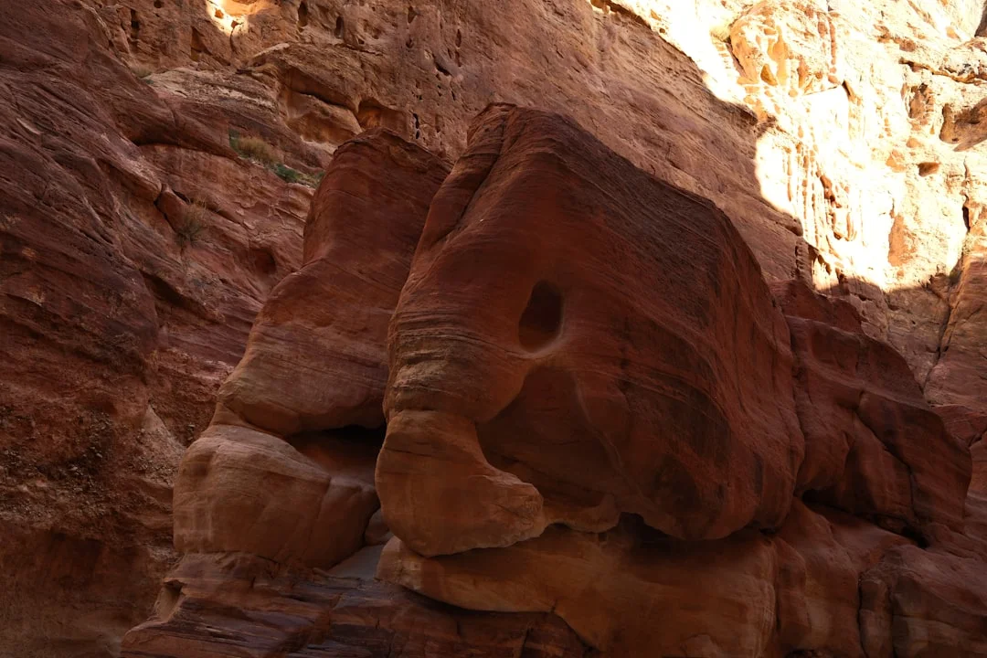 A landscape view of the ancient Siq pathway featuring the iconic elephant-shaped rock formation. The towering sandstone walls show a dramatic interplay of light and shadow, highlighting the detailed geological layers and the unique animal-like silhouettes created by centuries of natural erosion.